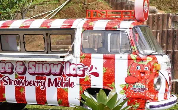 Harga tiket masuk ke Bukit Strawberry_