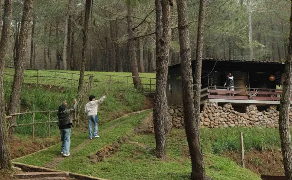 Lokasi dan Cara Menuju Jungle Milk Lembang_