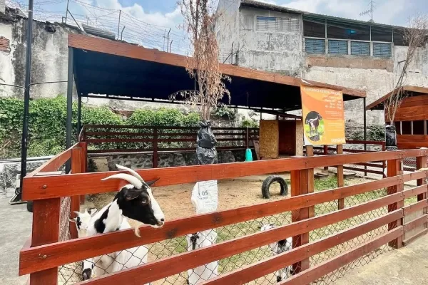 Piataland Malang - Playground dan Mini zoo