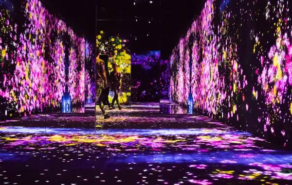 Museum Jepang - Mori Building Digital Art Museum_ teamLab Borderless (Odaiba, Tokyo) 