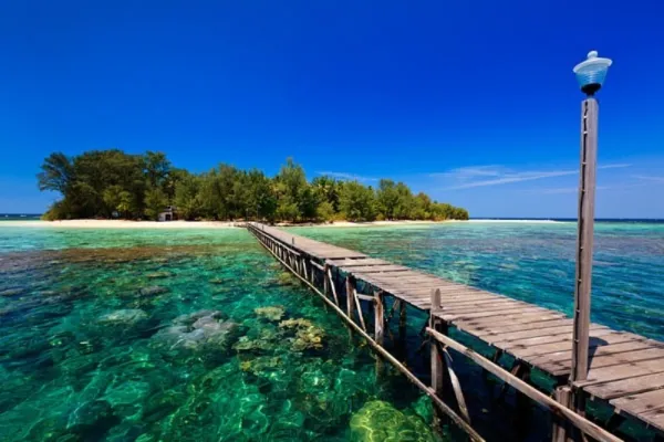 Spot Snorkeling Terbaik di Karimunjawa di Pulau Cilik
