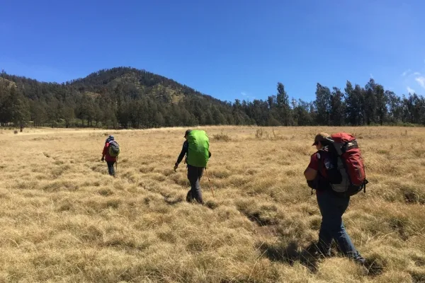 1. Sabana Cikasur – Taman Nasional Baluran, Jawa Timur