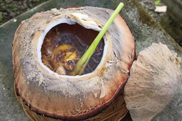 Street Food Indonesia ke Kopi Kelapa Bakar - Yogayakarta