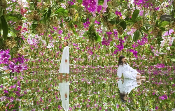 Museum Jepang - teamLab Planets (Toyosu, Tokyo)