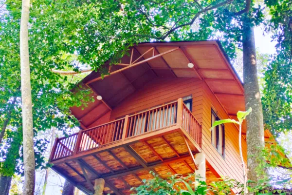 3. Forest Lodge