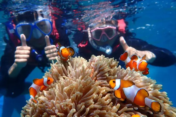 Spot Snorkeling Terbaik di Karimunjawa > Karang Torpedo