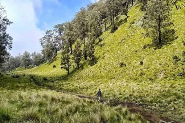 Sabana Bulak Peperangan – Gunung Lawu, Jawa Tengah