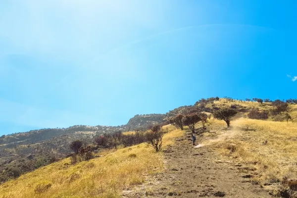 Ciri-Ciri Sabana yang Perlu Kamu Tahu