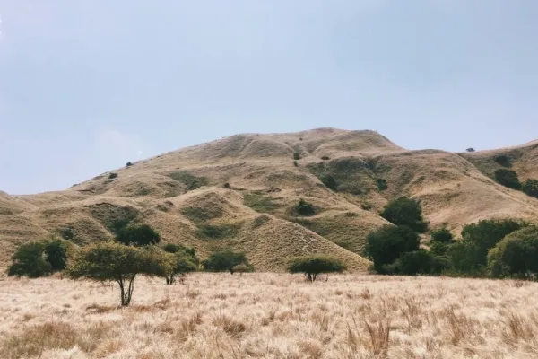 Manfaat Sabana Buat Lingkungan dan Kehidupan