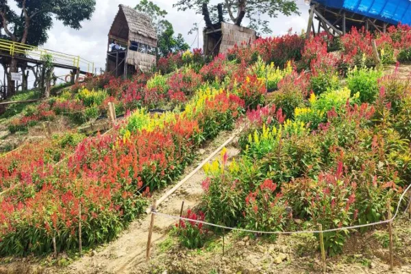 Panorama Tebing Lonceng yang Bikin Susah Move On