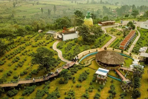 Prikitiew Land