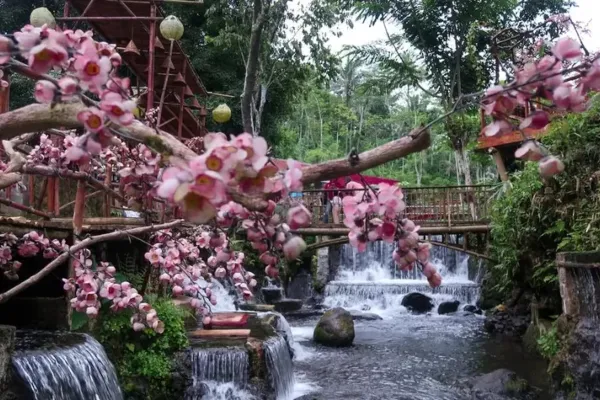 Rute Menuju Umbulan Tanaka