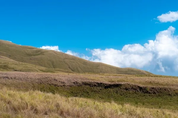 Sabana di Indonesia