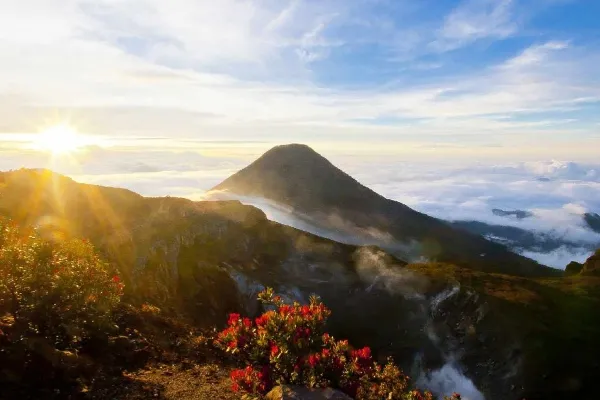 Gunung Gede Pangrango – Tektok Ekstra Tapi Worth It di Bogor