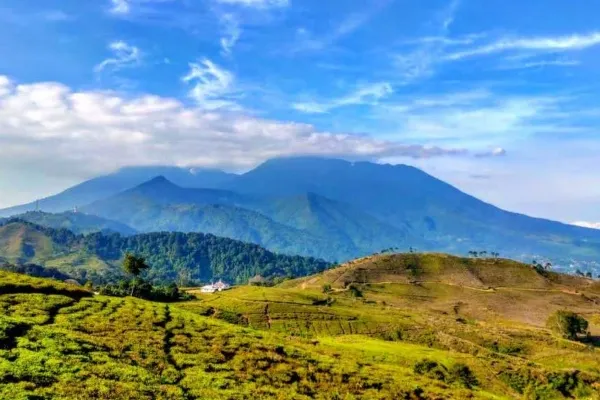 Gunung Kencana (1.803 Mdpl)