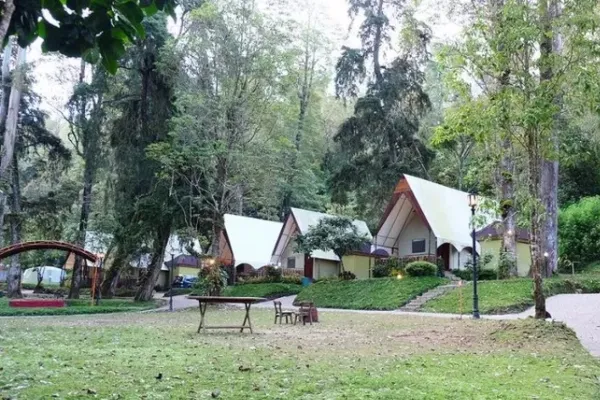 Lawu Forest Camp