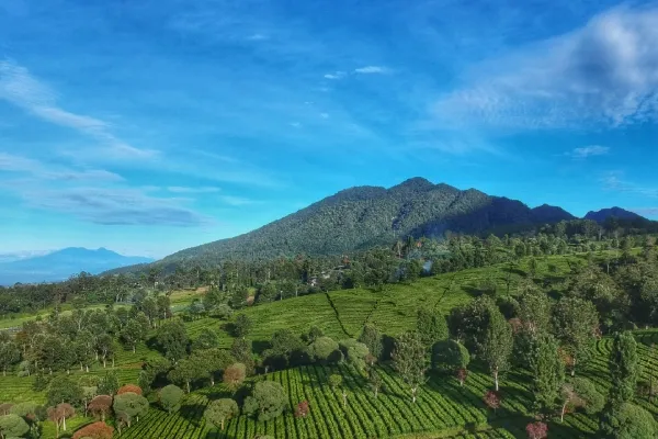 Gunung Burangrang (2.050 Mdpl)