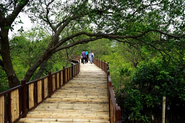 Tempat Piknik Surabaya - Hutan Mangrove Wonorejo
