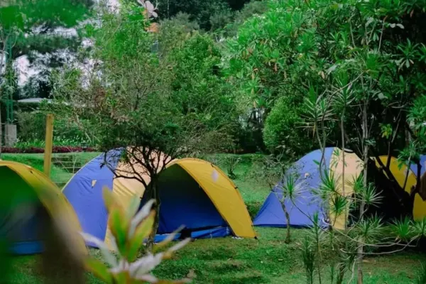Datura Nature Space Bogor