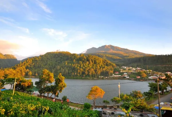 Lokasi dan Jam Operasional
