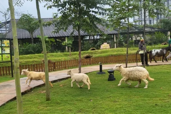 Wahana di Aviary Park Bintaro