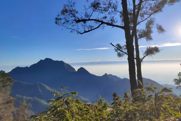 Gunung Wilis