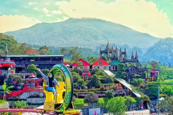 Cai Pinus Kuningan