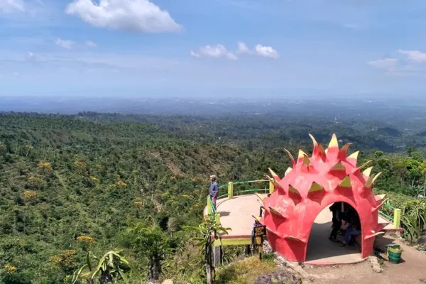 Kebun Buah Naga & Area Rekreasi