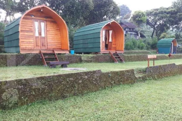 Pince Fore4st Camp Bandung