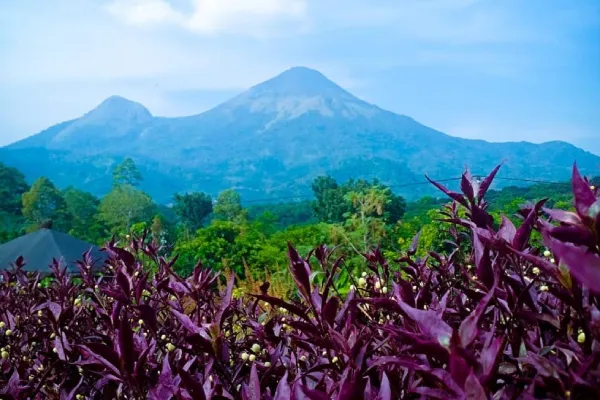 Tips Liburan ke Rainbow Garden Poetoek Soeko