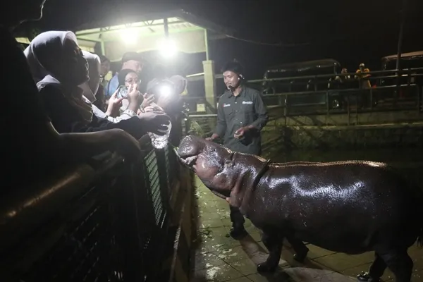 Wisata Malam Ragunan
