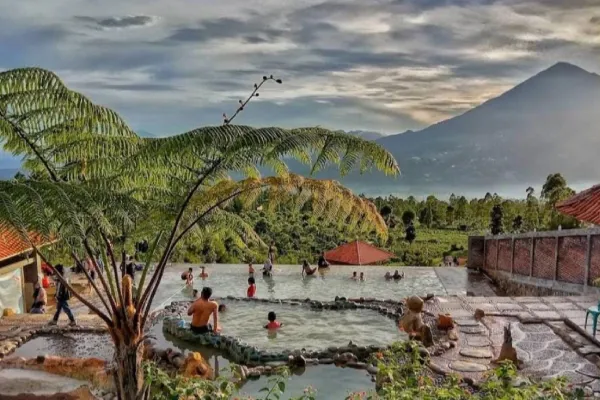 Koleksi Tanaman di Agrowisata Tepas Papandayan