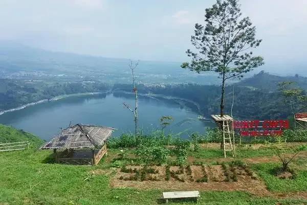 Bukit Cinta Lembah Seroja
