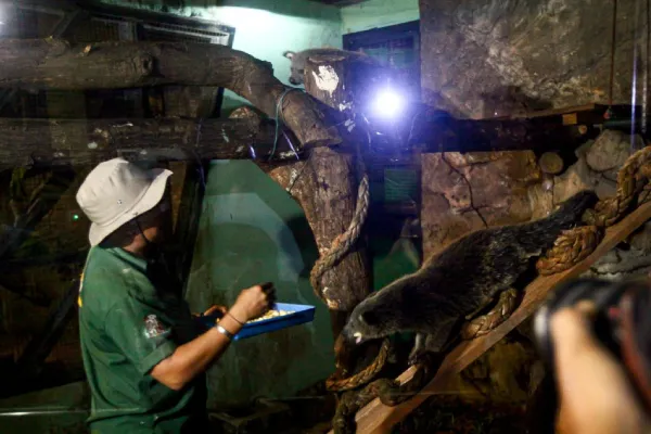 Cara ikut Wisata Malam Ragunan