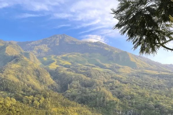 Daya Tarik Budug Asu Malang