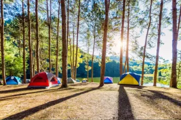 Glamping DIeng Wonsosobo