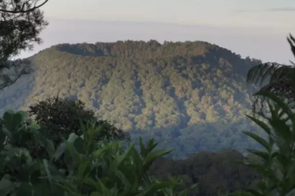 Spot Trekking di Bali - Genung Lesung