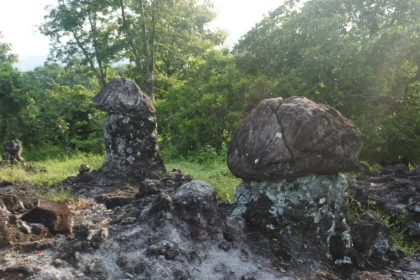 Gunung Taruwongso