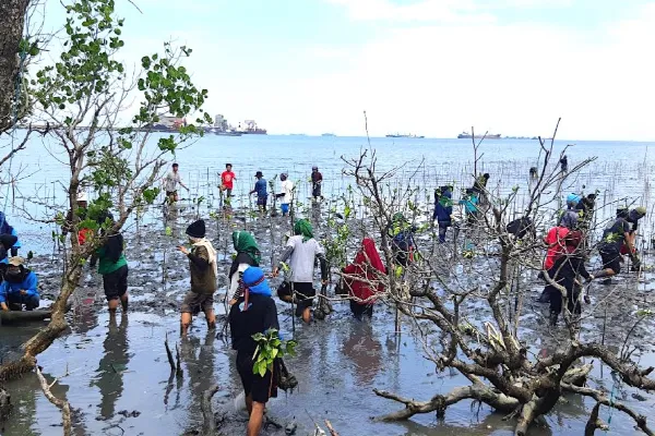 Hutan Mangrove Dewi Biringkassi