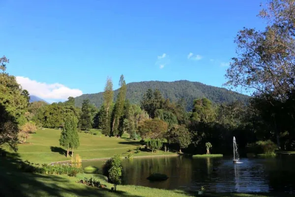 Kebun raya cibodas