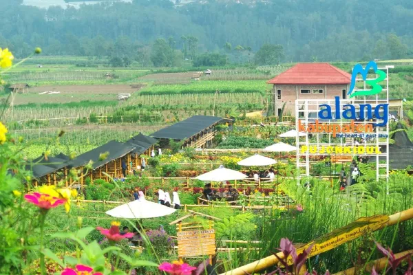 Kopi Sawah Dau