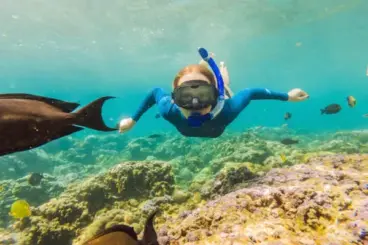 Spot Snorkeling di Sumba