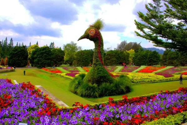 Taman Bunga Nusantara