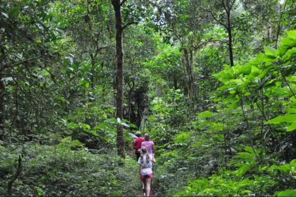 Spot Trekking di Bali - The Old Nature Cave Trek