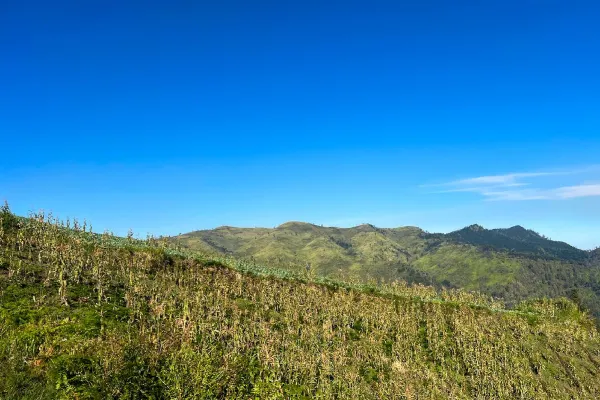 Tips liburan di Bukit Kandang Pasuruan
