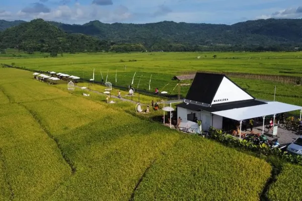 View cantik Mahaloka Paradise Kulon Progo
