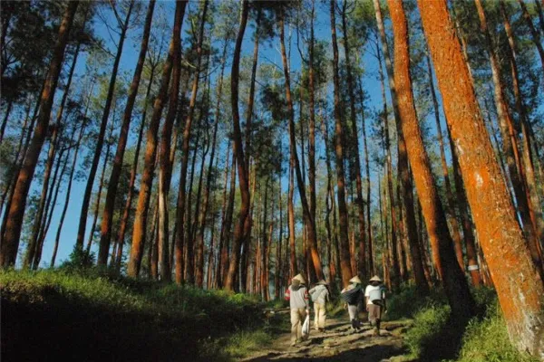 Wisata Temanggung - Wisata Alam Jumprit