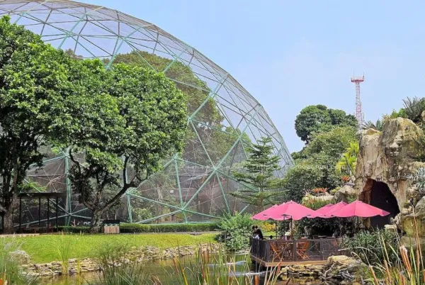 Berapa Jenis Burung di Taman Burung TMII