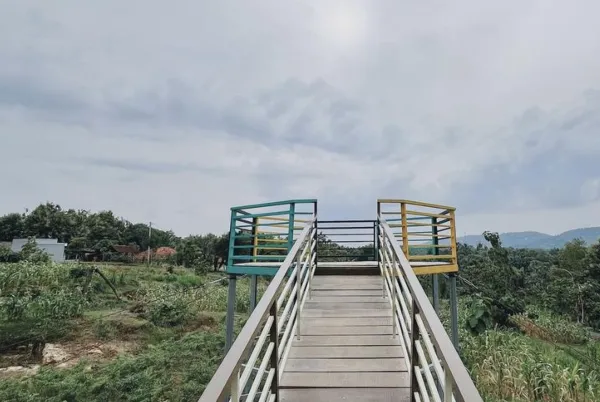 Aktivitas Seru di Bukit Kehi NTT