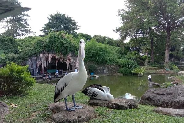 Taman Burung TMII